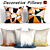 Jazz Collection Decorative Pillows 3D model small image 1