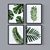 Tropical Leaf Set: Versatile 3D Foliage 3D model small image 1