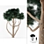 Evergreen Pinus Sylvestris Watereri - Stunning Tree Library! 3D model small image 1