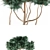 Evergreen Pinus Sylvestris Watereri - Stunning Tree Library! 3D model small image 2