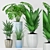 Green Oasis: Aspidistra, Howea, Monstera & Grass 3D model small image 1