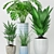 Green Oasis: Aspidistra, Howea, Monstera & Grass 3D model small image 2