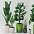 83 Exotic Indoor Plants 3D model small image 1