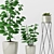 Ficus Elastica & Succulent Combo 3D model small image 2