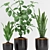 Stunning Plant Trio with Elegant Pot 3D model small image 2