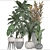 Diverse Indoor Plant Collection 3D model small image 3