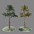  Fresh Sapling Duo 3D model small image 1