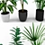 Exquisite Plant Collection: Calathea, Sansevieria, Ficus & Papyrus 3D model small image 2