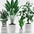 Tropical Plant Trio in White Pot 3D model small image 2