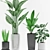 Green Oasis: Aspidistra, Sansevieria, Paradise and Ficus Elastica Plant with Black and Concrete Pot 3D model small image 2
