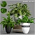 Stylish Plant Decor Set 3D model small image 1