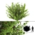 Kalini Bush: Vibrant and Compact Shrub 3D model small image 1