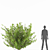 Kalini Bush: Vibrant and Compact Shrub 3D model small image 3