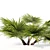 Hainan Rainforest Palm 3D model small image 2