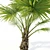 Exotic Rainforest Beauty: Chuniophoenix Hainanensis 3D model small image 2