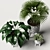 Versatile Plants Set 07: 3D Models for V-Ray and Fstorm 3D model small image 4