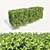 Versatile Buxus Hedge, 70cm: Perfect for Scattering 3D model small image 1