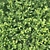 Versatile Buxus Hedge, 70cm: Perfect for Scattering 3D model small image 3