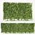 Buxus Sempervirens Hedge: Tall & Versatile 3D model small image 2