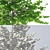 Fresh & Green Young Trees 3D model small image 2