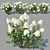 Versatile Hydrangea Paniculata: 4 Variations 3D model small image 1