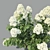 Versatile Hydrangea Paniculata: 4 Variations 3D model small image 3