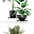 Unique Plant Collection 119 3D model small image 2