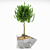 7-Plant Decor: Stylish & Versatile 3D model small image 1