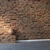 High-Res Brick Texture Pack 3D model small image 2