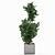 Botanical Bliss: Gorgeous Plant Decor 3D model small image 1