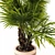 Exquisite Hainan Palm Tree 3D model small image 2