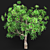 Greenery 3D - 25 Varieties 3D model small image 1