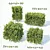 Versatile Buxus Sempervirens Cubes 3D model small image 1