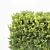 Versatile Buxus Sempervirens Cubes 3D model small image 3