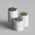 KRAPIVA Succulent Collection - Vibrant & Stylish Potted Plants 3D model small image 1