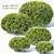 Deluxe Buxus Sempervirens #10: Beautifully Crafted Oval Plant 3D model small image 1