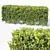 Versatile Modular Hedge - Buxus Sempervirens 3D model small image 1