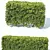 Versatile Modular Hedge - Buxus Sempervirens 3D model small image 2
