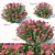 Versatile Spirea: 3 Sizes 3D model small image 1