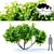 Beautiful Catalpa Bignonioides Tree 3D model small image 1