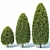 Versatile Buxus Tree for Stunning Landscapes 3D model small image 1
