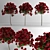  Dazzling Rose Lollipop Trio 3D model small image 1