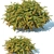 Green Carpet Berberis Thunbergii: Optimal Sizes & Stunning Precision 3D model small image 2