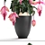 Exotic Medinilla: Collection of Magnificent Pink Flowers 3D model small image 2