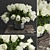 Ethereal White Rose 3D model small image 1