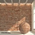 Weathered Brick Wall Texture 3D model small image 1