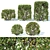 Optimized Cotoneaster lucidus Hedge 3D model small image 1