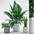  Colorful Indoor Plants Collection 3D model small image 1