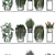 Exotic Plant Collection: Rhipsalis, Tradescantia, Monstera & Bromelia 3D model small image 3