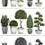 Title: Evergreen Plant Collection for Outdoor Landscaping 3D model small image 3